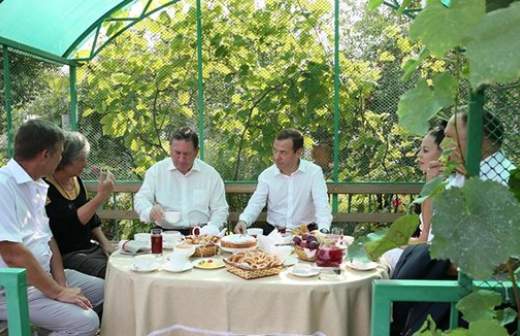 Правительство узаконит «садовые дома»