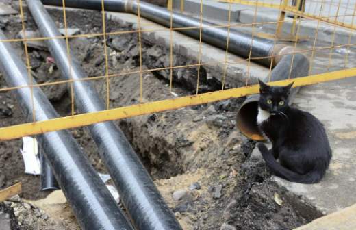 ОНФ выявил нарушение лицензирования управляющих компаний 