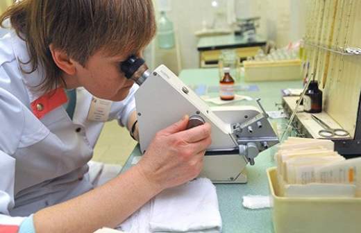 Ученые создали из морского огурца препарат, повышающий иммунитет