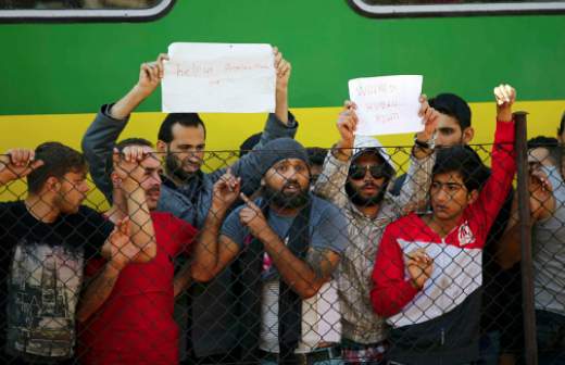 Беженец через суд требует кормить его бананами вместо мяса