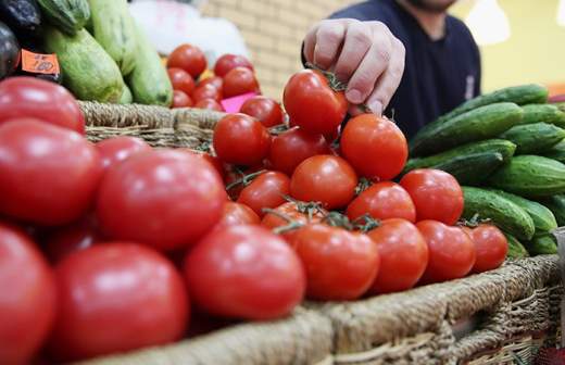 Турецким помидорам открывают окно в Россию