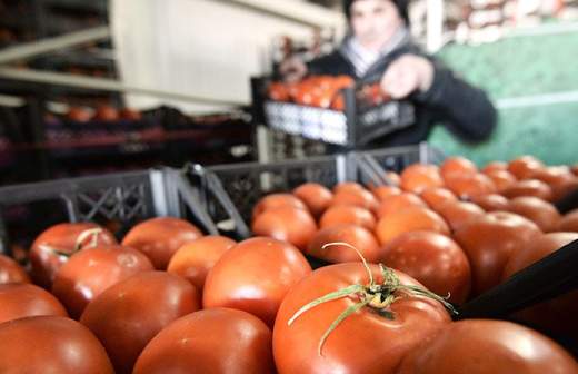 Помидоры нафаршировали пестицидами