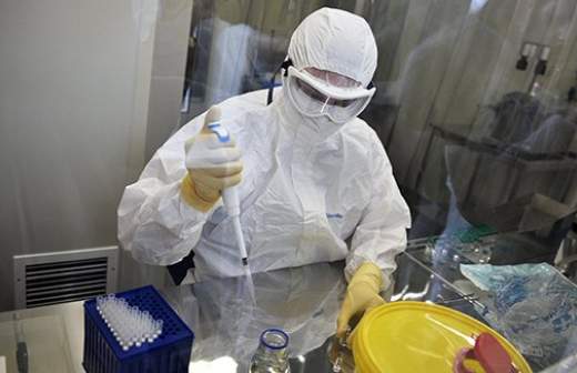Студенты-медики вступят в борьбу с вирусами Эбола и Зика