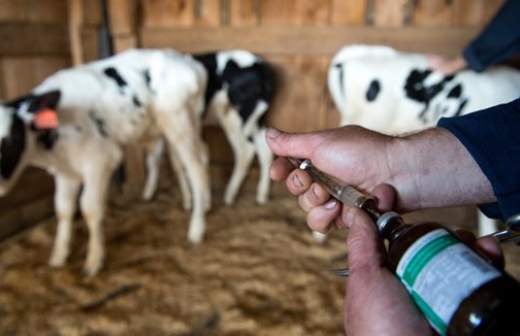 В России создают «вечную» вакцину