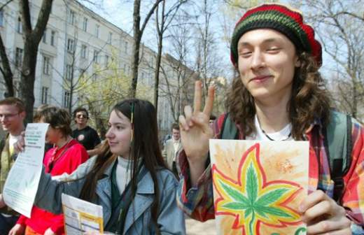 культивирование конопля в россии культивирование конопля в россии