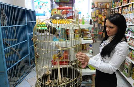 Молодых специалистов ждут в магазинах и банках