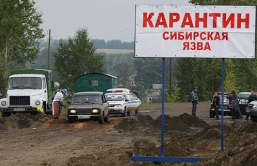 Массовой эпидемии сибирской язвы в масштабах России не будет