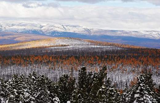 «Гектарами» в Якутии интересуются жители 43 регионов России