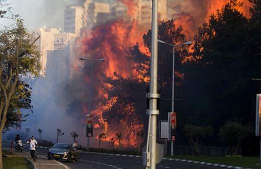 Торфяные, эвкалиптовые, нефтяные: самые крупные природные пожары