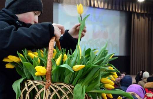 Тюльпаны, медведь и группа «Браво»