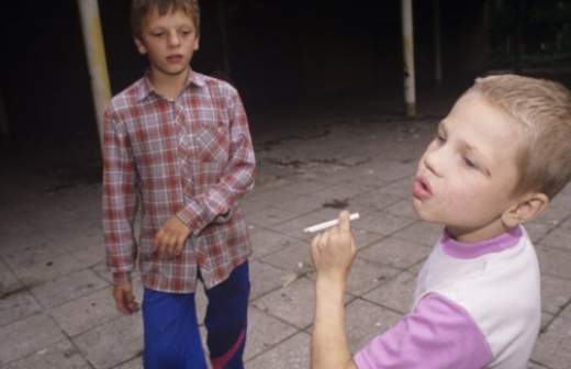 Некоммерческие организации склоняют к соцпроектам