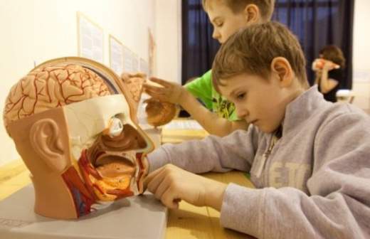 Изобретены таблетки против болезней Альцгеймера, Паркинсона и инсульта