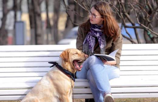 Владельцев собак могут обложить налогом