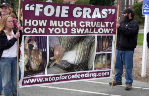 Зоозащитники просят запретить производство и ввоз фуа-гра в Россию