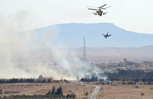 «Аллигаторы» и «Грачи» помогут вернуть Пальмиру
