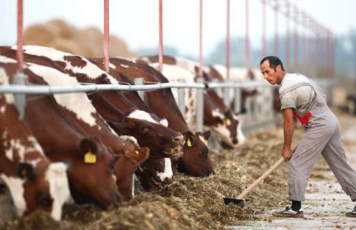 Аграриев накажут за загрязнение окружающей среды 