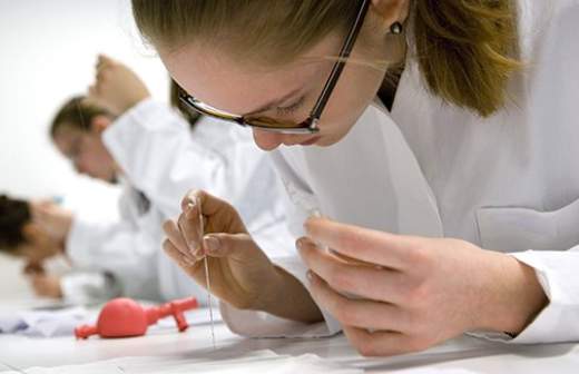 Пауки и анемоны помогли создать новый класс обезболивающих