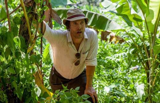 Золотая лихорадка Мэтью МакКонахи