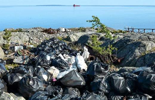 «Ростех» готов сжечь крымский мусор