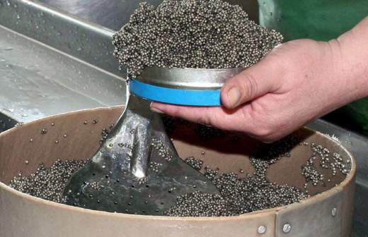 Белорусы выдают китайскую икру за российскую