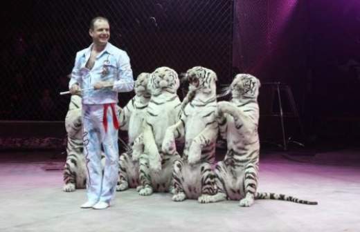 Росгосцирк взыскал с Нестерова и Запашного 3 млн рублей