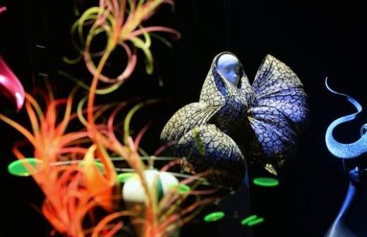 Шляпных дел мастер 