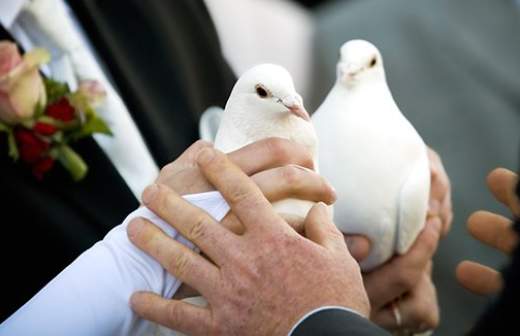 Число браков сократилось на 15%