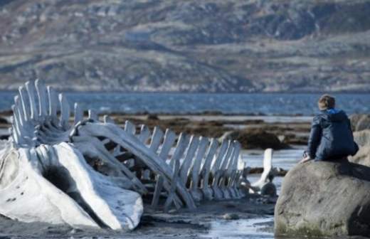 В Териберке начался туристический бум
