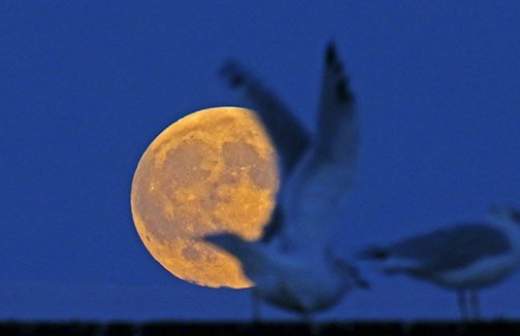 Партнеры по МКС договорились проектировать лунную орбитальную станцию