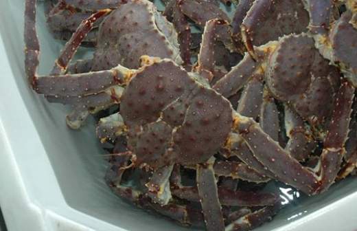 Нужен ли Японии легальный российский краб