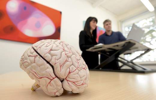 каплан лекции о мозге. Смотреть фото каплан лекции о мозге. Смотреть картинку каплан лекции о мозге. Картинка про каплан лекции о мозге. Фото каплан лекции о мозге каплан лекции о мозге. Смотреть фото каплан лекции о мозге. Смотреть картинку каплан лекции о мозге. Картинка про каплан лекции о мозге. Фото каплан лекции о мозге