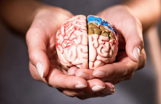 каплан лекции о мозге. Смотреть фото каплан лекции о мозге. Смотреть картинку каплан лекции о мозге. Картинка про каплан лекции о мозге. Фото каплан лекции о мозге каплан лекции о мозге. Смотреть фото каплан лекции о мозге. Смотреть картинку каплан лекции о мозге. Картинка про каплан лекции о мозге. Фото каплан лекции о мозге