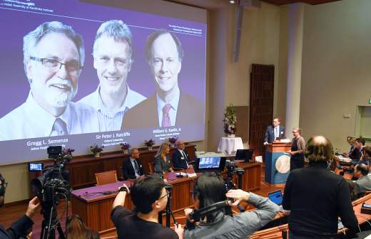 За что и кому дают нобелевские премии по экономике. Смотреть фото За что и кому дают нобелевские премии по экономике. Смотреть картинку За что и кому дают нобелевские премии по экономике. Картинка про За что и кому дают нобелевские премии по экономике. Фото За что и кому дают нобелевские премии по экономике За что и кому дают нобелевские премии по экономике. Смотреть фото За что и кому дают нобелевские премии по экономике. Смотреть картинку За что и кому дают нобелевские премии по экономике. Картинка про За что и кому дают нобелевские премии по экономике. Фото За что и кому дают нобелевские премии по экономике