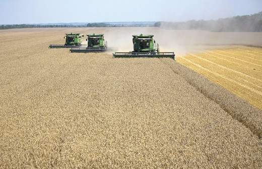 08 1 на все что хочется рсхб