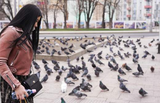 что значит пыльца в погоде. Смотреть фото что значит пыльца в погоде. Смотреть картинку что значит пыльца в погоде. Картинка про что значит пыльца в погоде. Фото что значит пыльца в погоде
