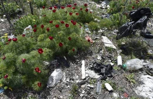 рейтинг регионов по врп 2019. Смотреть фото рейтинг регионов по врп 2019. Смотреть картинку рейтинг регионов по врп 2019. Картинка про рейтинг регионов по врп 2019. Фото рейтинг регионов по врп 2019 рейтинг регионов по врп 2019. Смотреть фото рейтинг регионов по врп 2019. Смотреть картинку рейтинг регионов по врп 2019. Картинка про рейтинг регионов по врп 2019. Фото рейтинг регионов по врп 2019