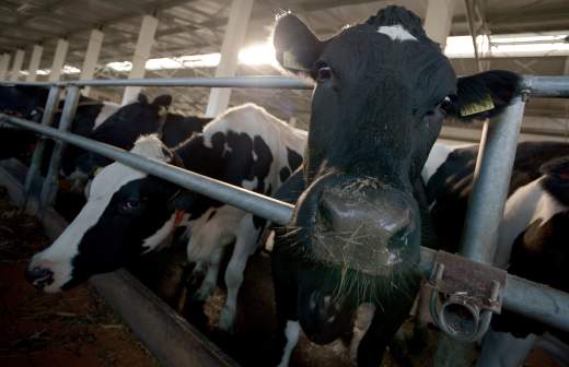 вопрос с подорожанием базовых продуктов овощей так называемого борщевого набора. Смотреть фото вопрос с подорожанием базовых продуктов овощей так называемого борщевого набора. Смотреть картинку вопрос с подорожанием базовых продуктов овощей так называемого борщевого набора. Картинка про вопрос с подорожанием базовых продуктов овощей так называемого борщевого набора. Фото вопрос с подорожанием базовых продуктов овощей так называемого борщевого набора