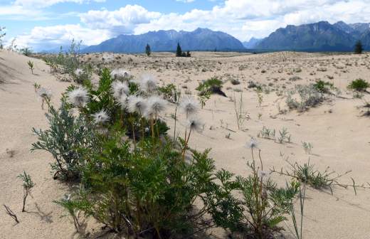 RIAN 5574228.HR .ru для чего нужен арктический гектар