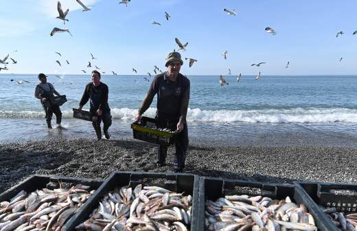 Почему осетровые исчезли из российских морей и рек | fish2o | производитель премиум лосося | Дзен