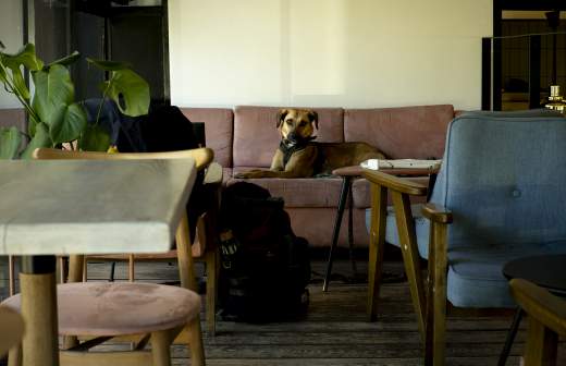 Эксперт Колесникова рассказала о разнице в языке тела у людей и животных