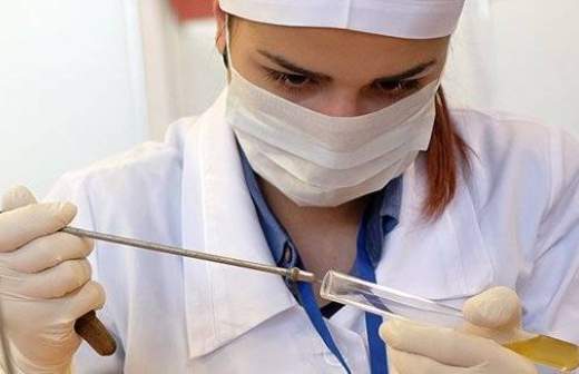 Российские ученые научились выращивать мозг в пробирке