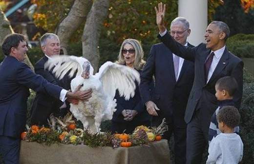 Обаме подарили двух индеек в честь Дня благодарения. Видео
