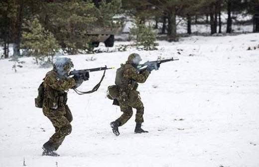 СМИ: Литва готовит партизан на случай «российской оккупации»