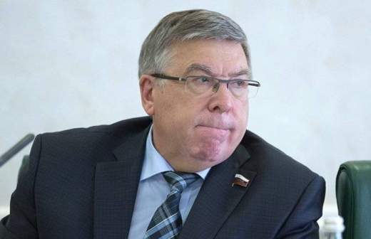 В Совфеде предложили лишить самозанятых россиян пенсий и путешествий