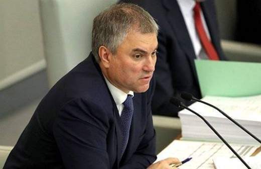 ГД: критика генсека СЕ по закону о декриминализации побоев недопустима