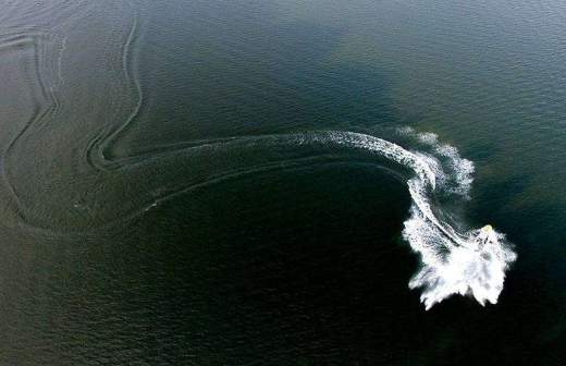 RIAN 2864719.HR .ru можно ли с собаками в серебряный бор