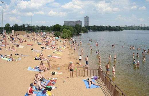 RIAN 2885549.HR .ru 1 можно ли с собаками в серебряный бор