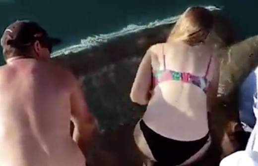 акула ест рыбу у рыбаков видео. Смотреть фото акула ест рыбу у рыбаков видео. Смотреть картинку акула ест рыбу у рыбаков видео. Картинка про акула ест рыбу у рыбаков видео. Фото акула ест рыбу у рыбаков видео