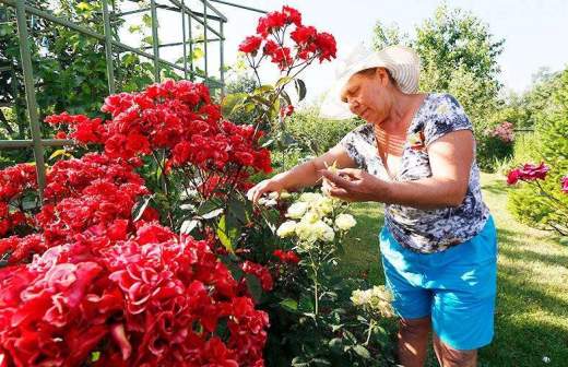 натали турс последние новости сегодня что делать. Смотреть фото натали турс последние новости сегодня что делать. Смотреть картинку натали турс последние новости сегодня что делать. Картинка про натали турс последние новости сегодня что делать. Фото натали турс последние новости сегодня что делать