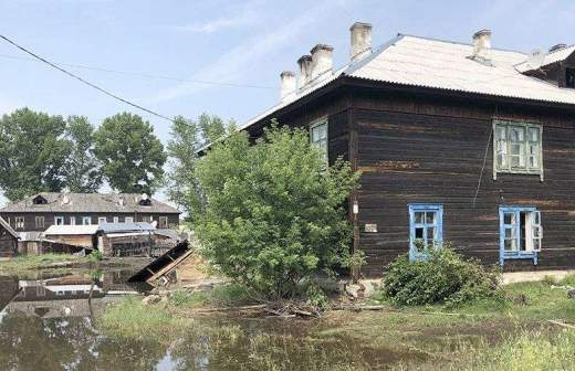 водятся ли в поле змеи